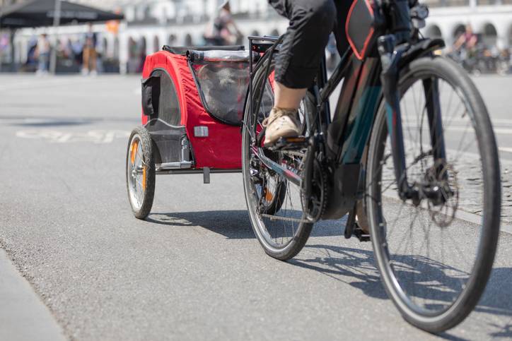Honden in de fietskar of bakfiets bij warm weer