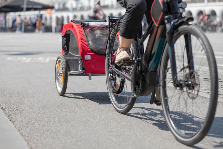 Honden in de fietskar of bakfiets bij warm weer