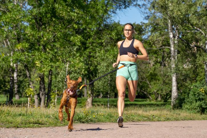 Canicross en hondensport in de zomer: een veilig protocol